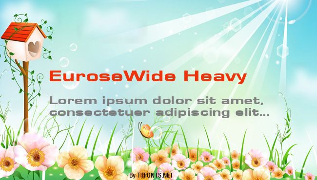 EuroseWide Heavy example
